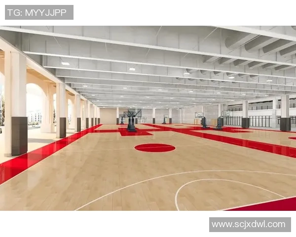 深圳排球队的速度之美与技术解析:排球运动的魅力与发展探讨 深圳排球队的速度之美与技术解析:排球运动的魅力与发展探讨