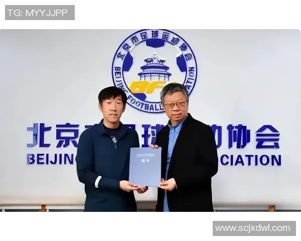 深入探讨北京乒乓球队战术表现的数据分析与策略优化研究