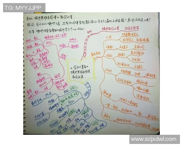 羽毛球场上的奋斗与坚持刘伟的深度对话与人生启示