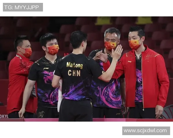 乒乓球的变革之旅：探寻北京乒乓球队的转型与发展历程