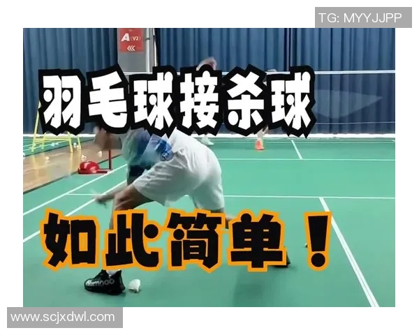 从零基础到高手之路羽毛球技巧与训练全解析
