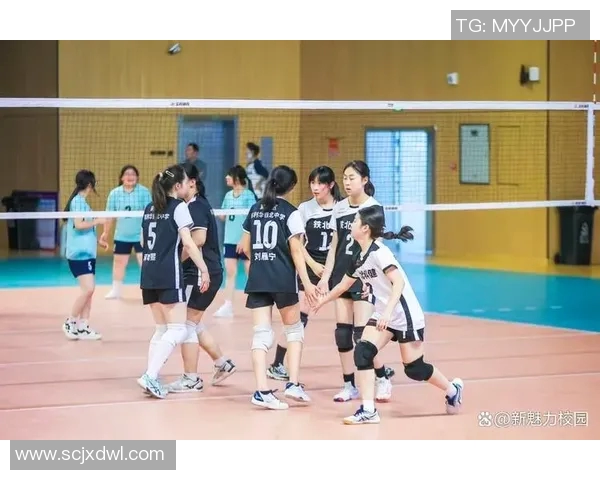 南京排球队实力分析与发展潜力探讨聚焦排球运动的未来之路 南京排球队实力分析与发展潜力探讨聚焦排球运动的未来之路