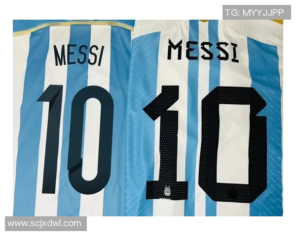 法国国际足球明星的辉煌历程与对足球运动的深远影响