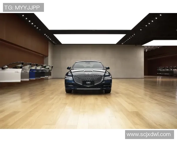 成都网球队与上海网球队赛后技术分析与战术对比探讨