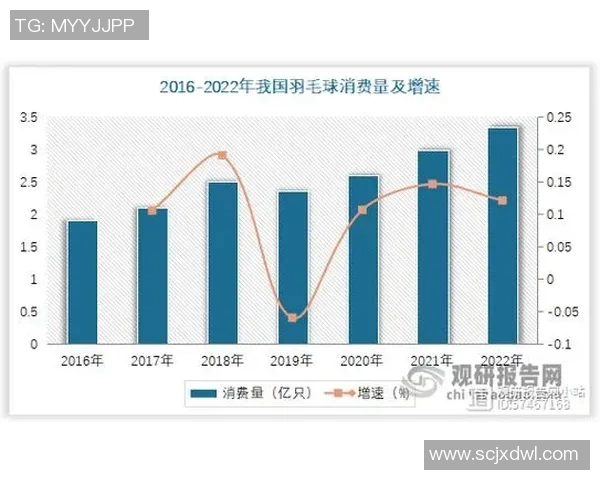 杭州羽毛球队技术对比深度解析与发展趋势探讨 杭州羽毛球队技术对比深度解析与发展趋势探讨