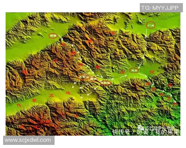 武汉足球队防守体系解析：战术布局与实战应用探讨