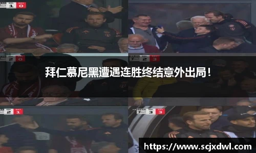 db真人旗舰官网
