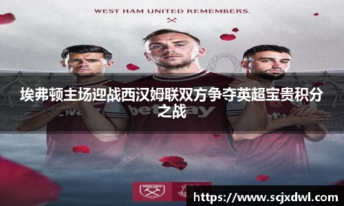 埃弗顿主场迎战西汉姆联双方争夺英超宝贵积分之战